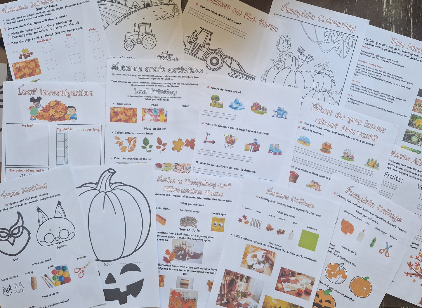 My Autumn Workbook